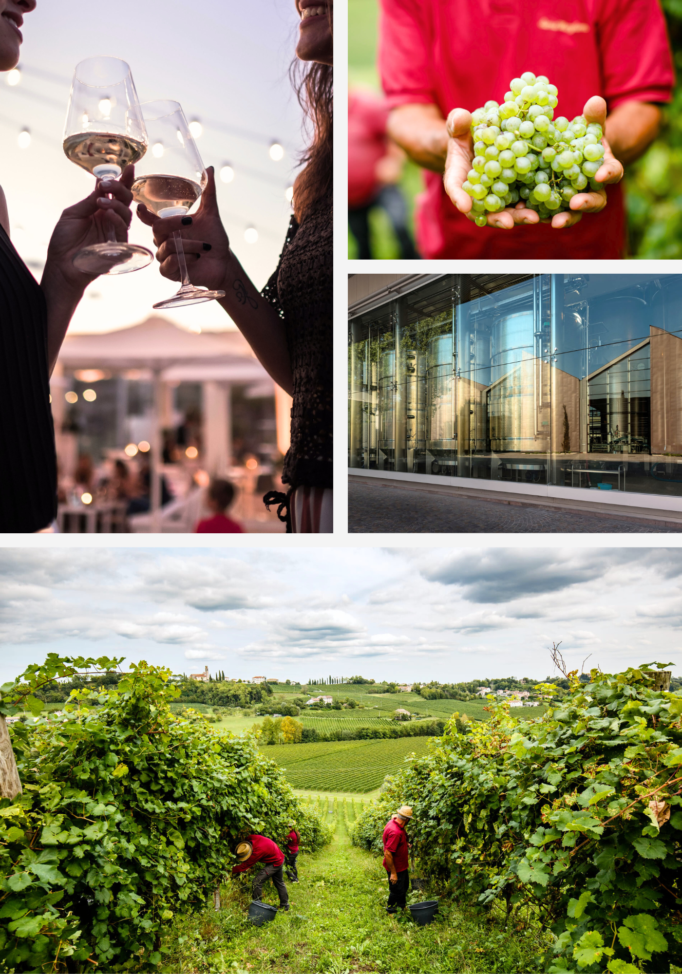 Agenda Santa Margherita Evento Formazione  WS - DFI