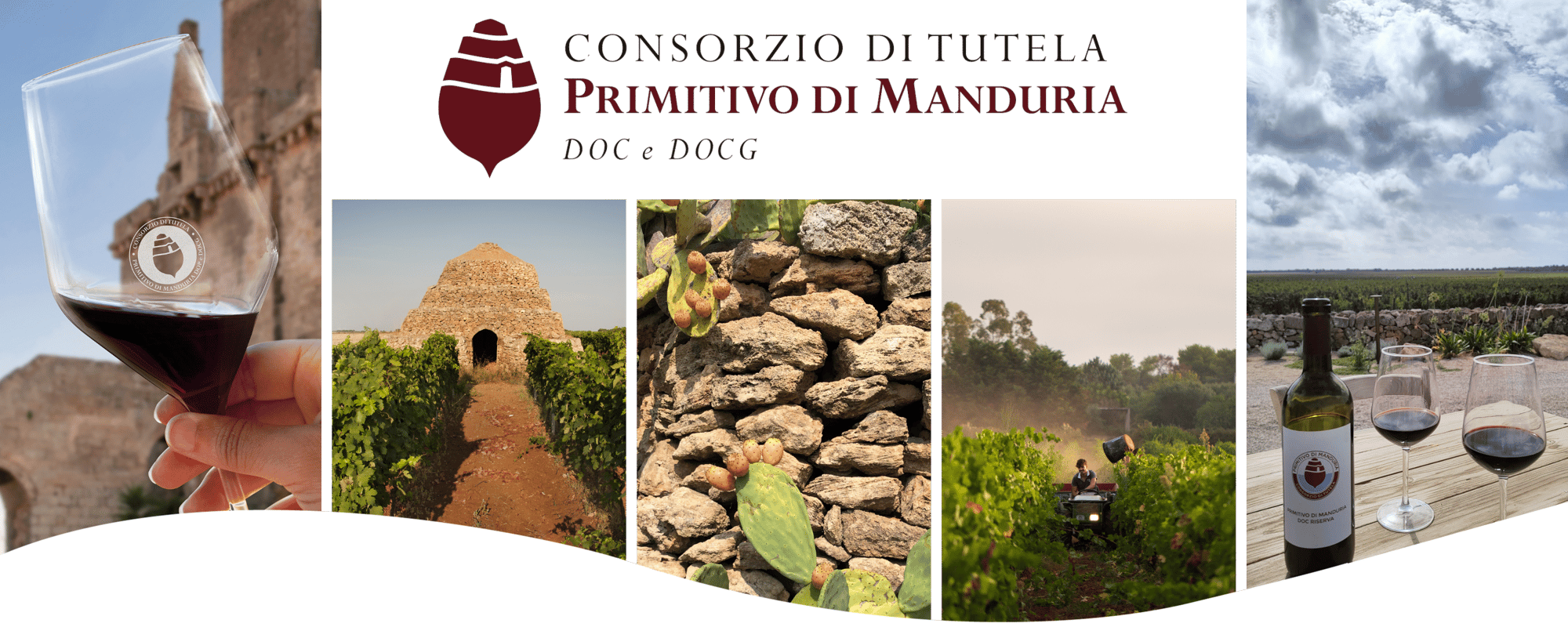 Consorzio Primitivo di Manduria - Trasparente con onda