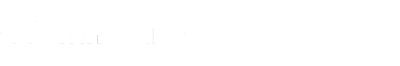 Logo white WS