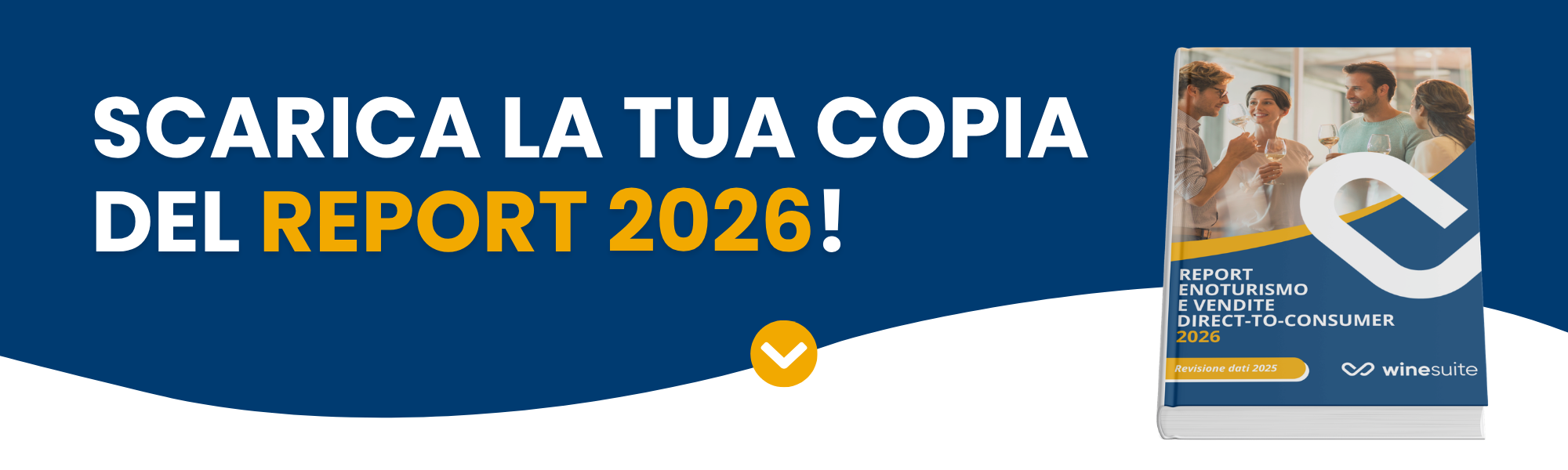 Report Enoturismo 2026 e Vendite DTC - Landing Page Banner