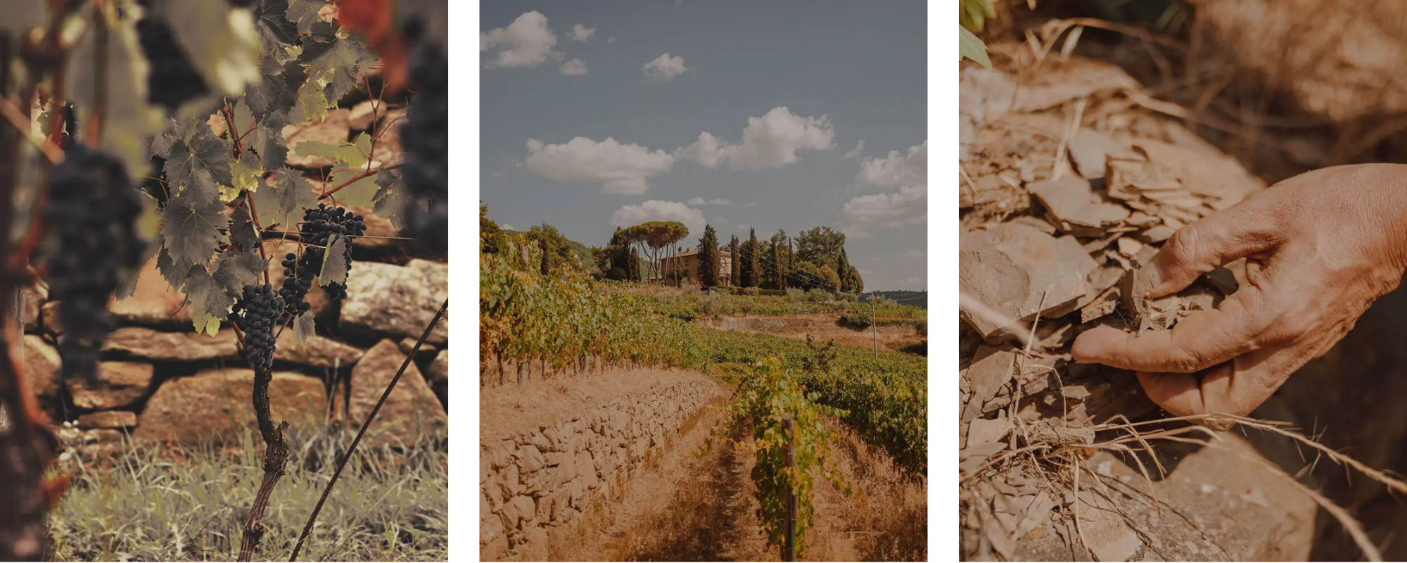 Evento Formazione  Lamole di Lamole WS - DFI Landing 1