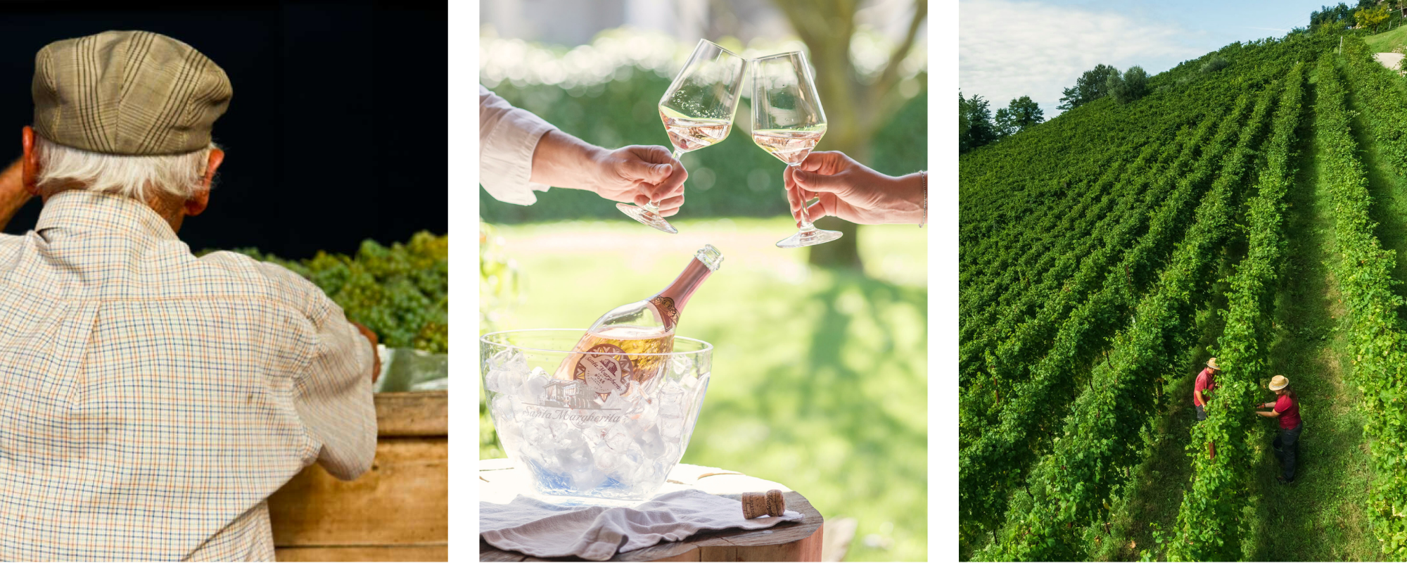 Evento Formazione  Santa Margherita WS - DFI Landing 1