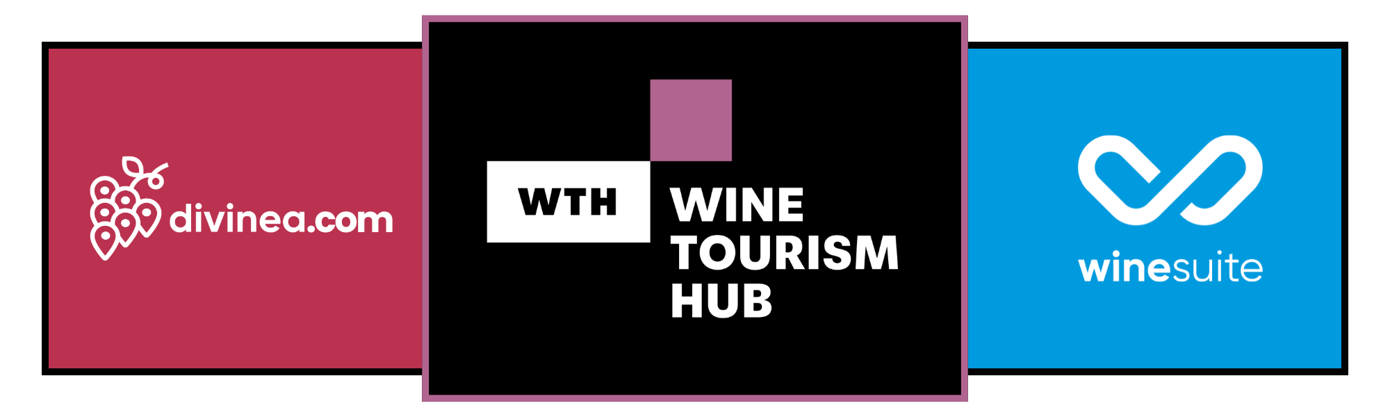 Loghi Divinea.com - Wine Suite - Wine Tourism Hub - bianco